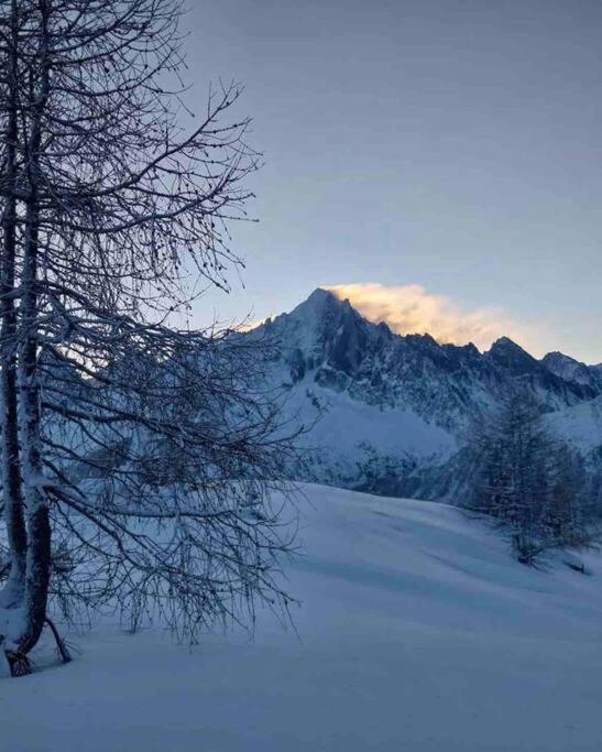Ski Chamonix, Saint Gervais Et Mont-Blanc Passy  Exterior foto